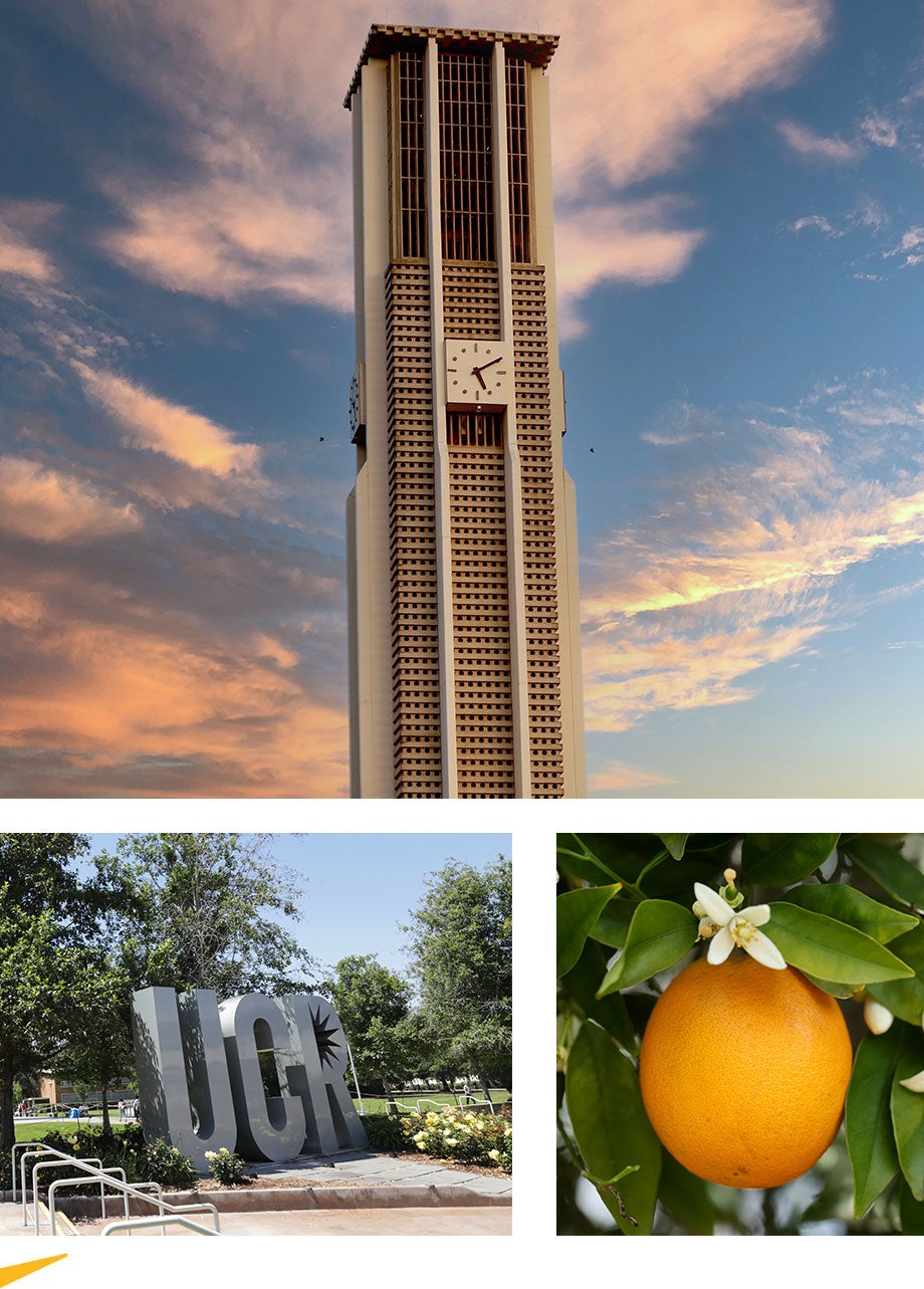 collage of diverse students, staff, and faculty