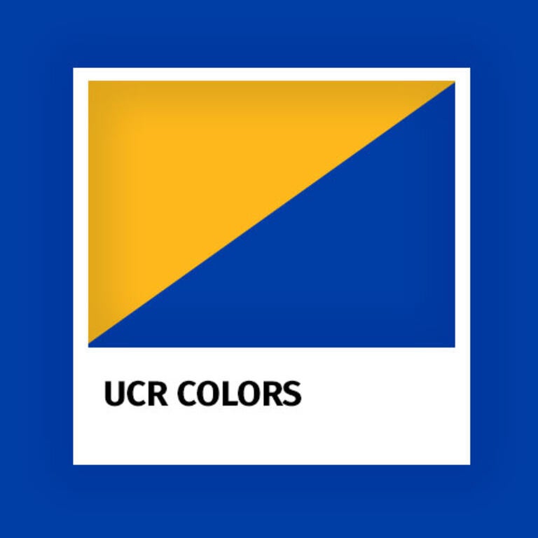 Colors